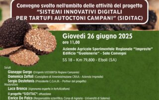 Innovazioni a servizio della Tartuficoltura nella Regione Campania - Convegno svolto nell'ambito delle attività del Progetto Sistemi Innovativi Digitali per Tartufi Autoctoni Campani (SIDITAC)