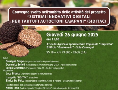 Convegno finale Progetto SIDITAC – giovedì, 26 giugno – Eboli