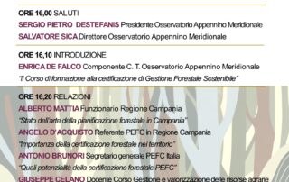 Seminario su “La pianificazione, gestione e certificazione forestale in Campania, presente e futuro”, Sala conferenze Osservatorio A.M., 11 luglio 2025