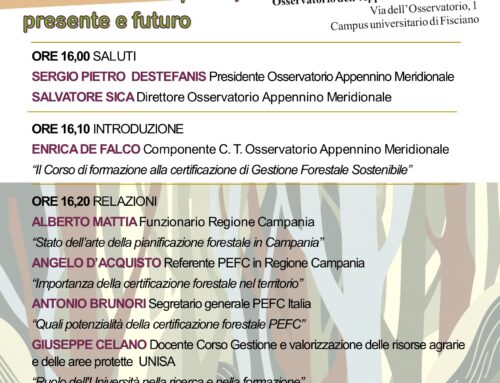 Seminario “La pianificazione, gestione e certificazione forestale in Campania, presente e futuro”, Sala conferenze Osservatorio A.M., 11 luglio 2025