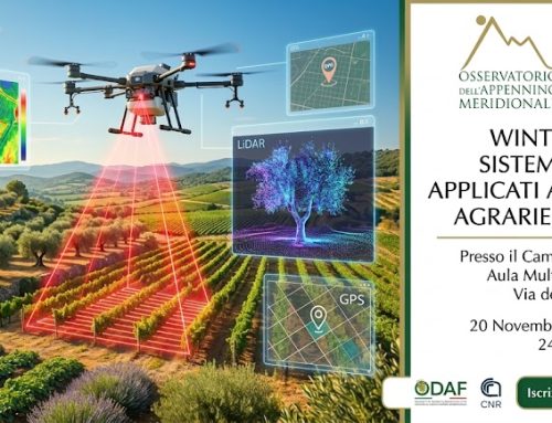 Corso di formazione WINTERSCHOOL_SISTEMI INNOVATIVI APPLICATI ALLE PRODUZIONI AGRARIE MEDITERRANEE, 20 novembre – 18 dicembre 2026